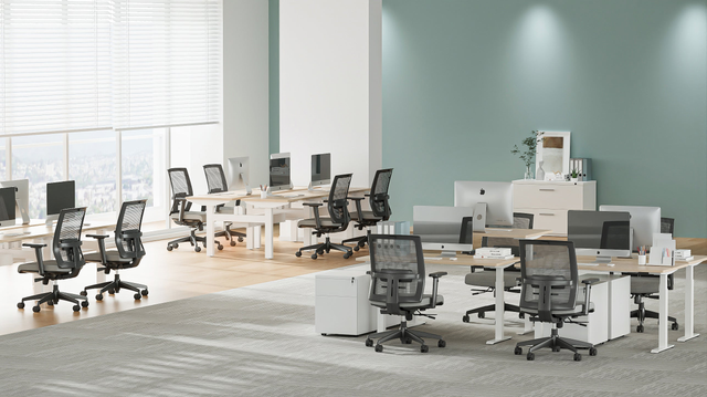 Elevate Your Workspace with ALFA: Comfortable Office Chair for Back Pain Relief