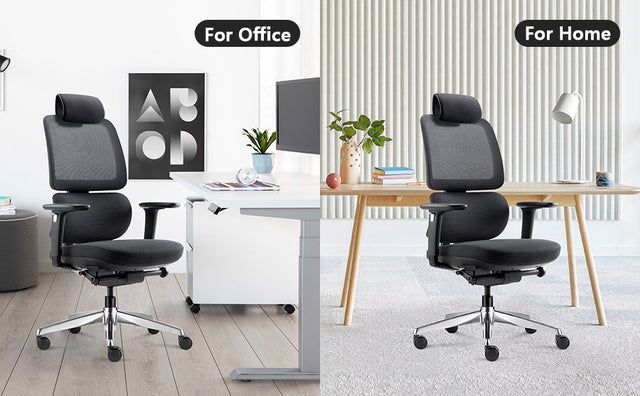 Elevate Comfort & Productivity with the Llew Chair