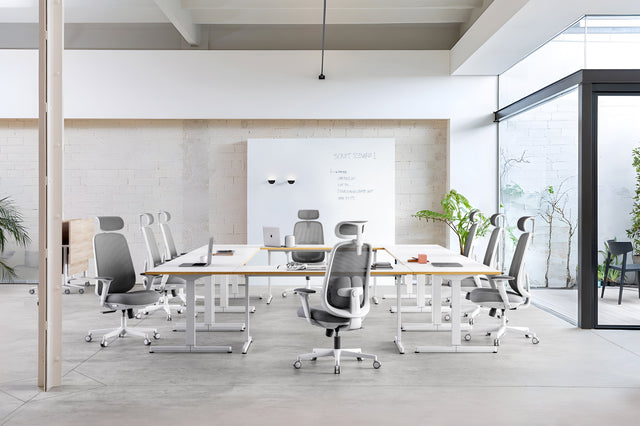 Byron Ergonomic Mesh Office Chair – Designed for Endurance, Engineered for Comfort