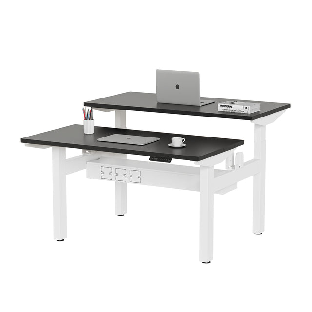 ALFA Desk Height Adjustable Double Standing Desk Dual Motor Adjustable Table Electric Desk 60" x 30"