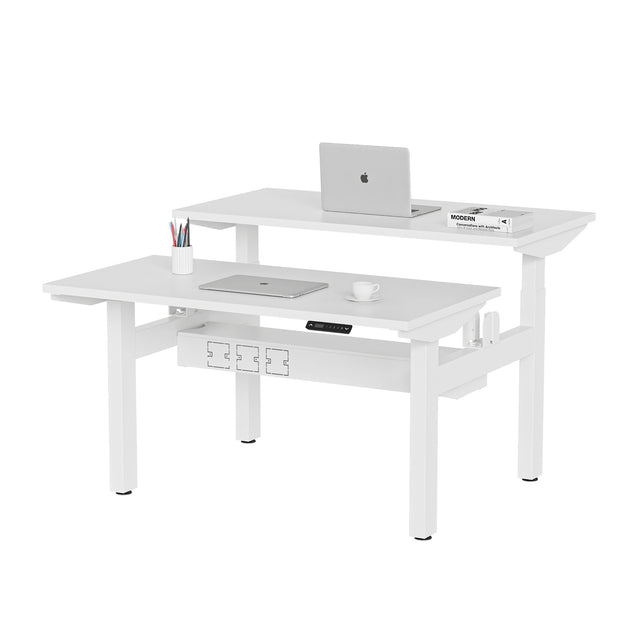 ALFA Desk Height Adjustable Double Standing Desk Dual Motor Adjustable Table Electric Desk 60" x 30"