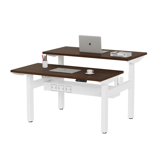 ALFA Desk Height Adjustable Double Standing Desk Dual Motor Adjustable Table Electric Desk 60" x 30"