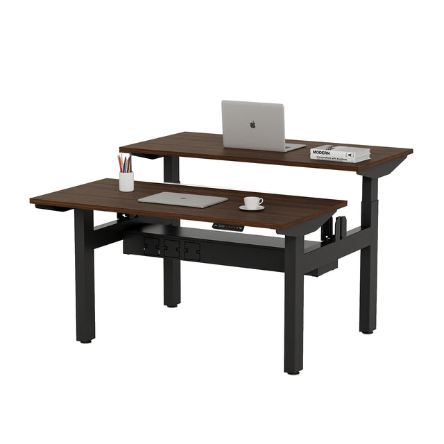 ALFA Desk Height Adjustable Double Standing Desk Dual Motor Adjustable Table Electric Desk 60" x 30"