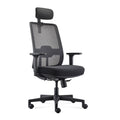 ALFA Chair Llew Ergonomic Computer Chair Multiple Functional Task Chair Comfortable Office Chair with Height Adjustable Armrests, Black
