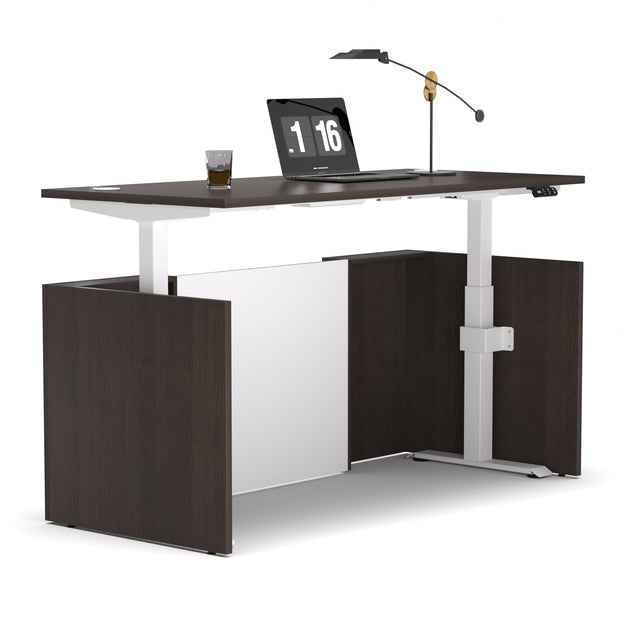 ALFA Adjustable Height Executive Standing Desk — Dual-Motor Electric Sit-Stand Desk with Programmable Memory Controller and Cable Management