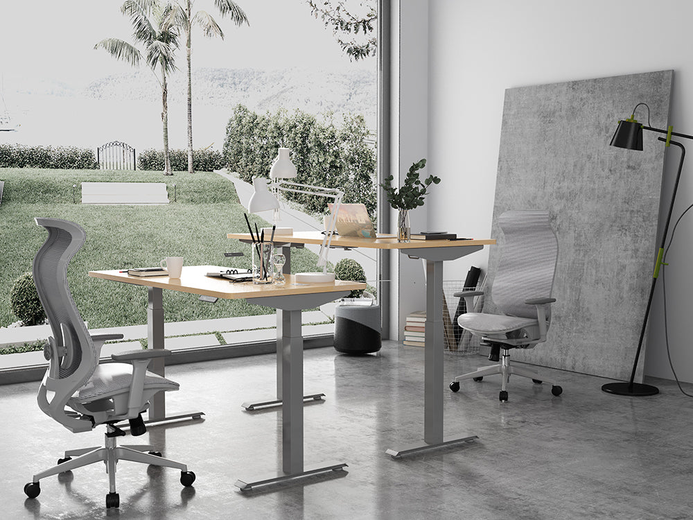 Bulk order Dual Motor Standing Desk -2 Stage-6030