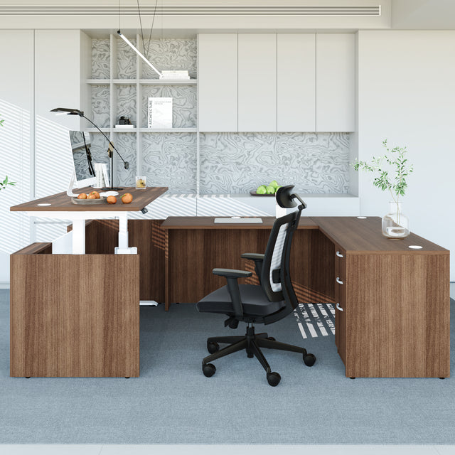 ALFA Arri Ergonomic Office Chair โ Mesh Revolving Chair with Height-Adjustable Lumbar Support, 4D Armrests & Donati Mechanism