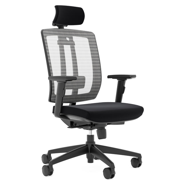 ALFA Arri Ergonomic Office Chair โ Mesh Revolving Chair with Height-Adjustable Lumbar Support, 4D Armrests & Donati Mechanism