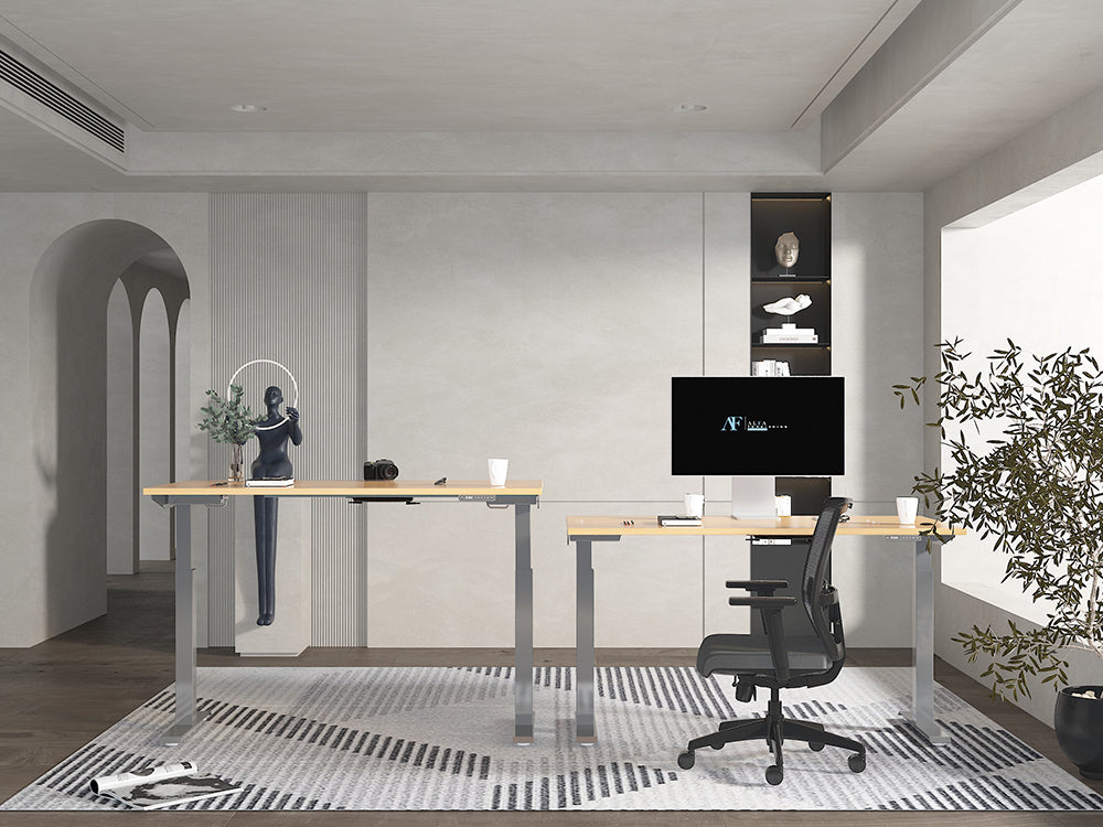 Bulk order Dual Motor Standing Desk -2 Stage-6030