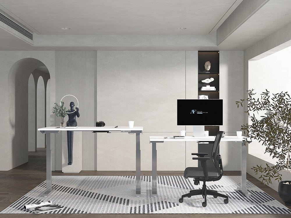 Bulk order Dual Motor Standing Desk -2 Stage-6030