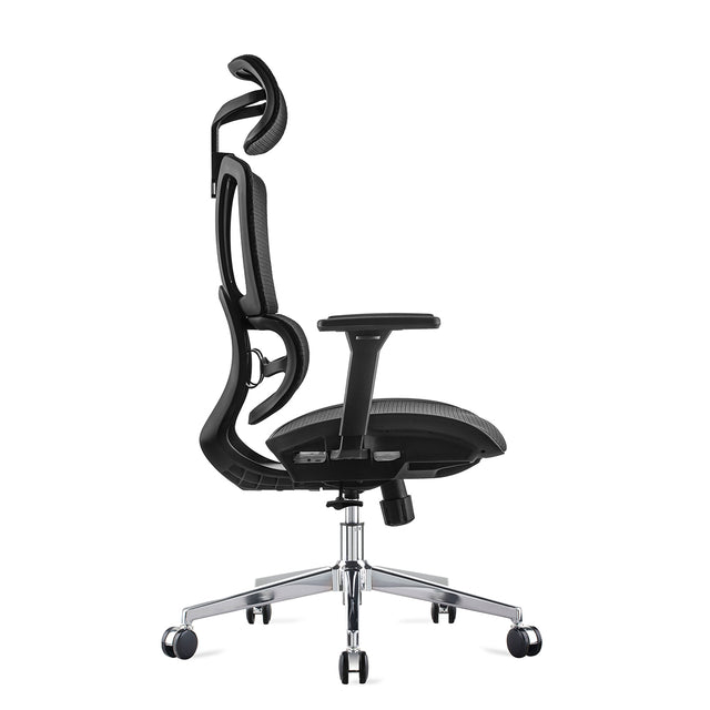 Carwyn Ergonomic Task Chair