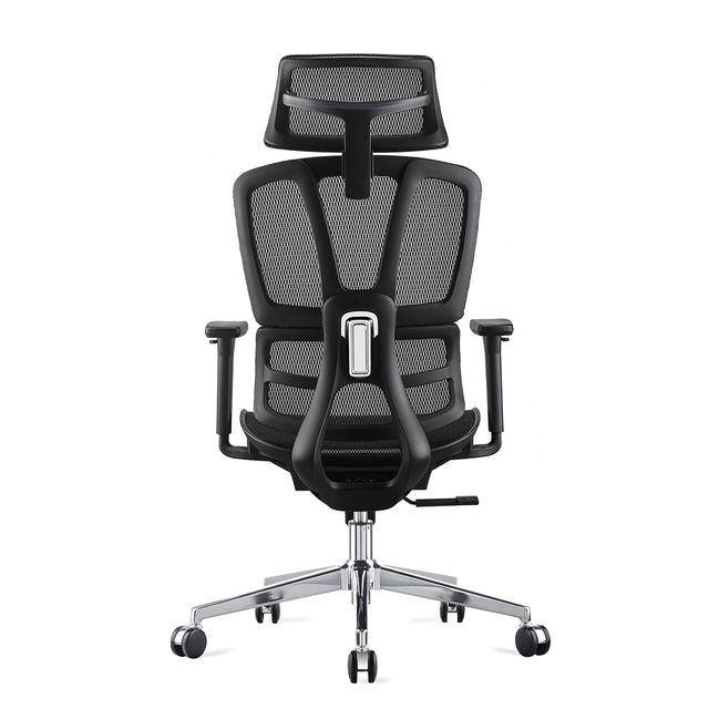ALFA Carwyn Ergonomic Office Chair – Adjustable Task Chair with Lumbar Support, Height Adjustable Armrests & Mesh Seat for Back Pain Relief, Black