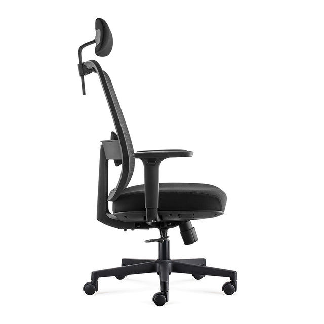 ALFA Chair Llew Ergonomic Computer Chair Multiple Functional Task Chair Comfortable Office Chair with Height Adjustable Armrests, Black