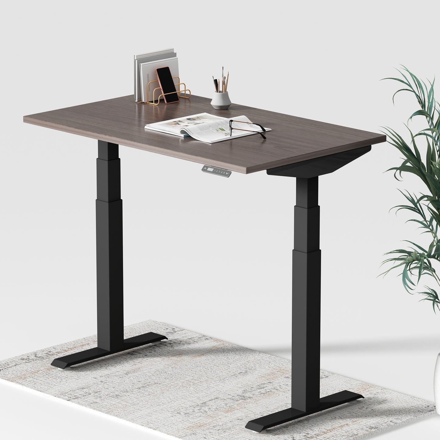 Dual Motor Standing Desk | Electric Standing Desk - ALFA DUO RANGE Desk 3 Stage 60 x 30"