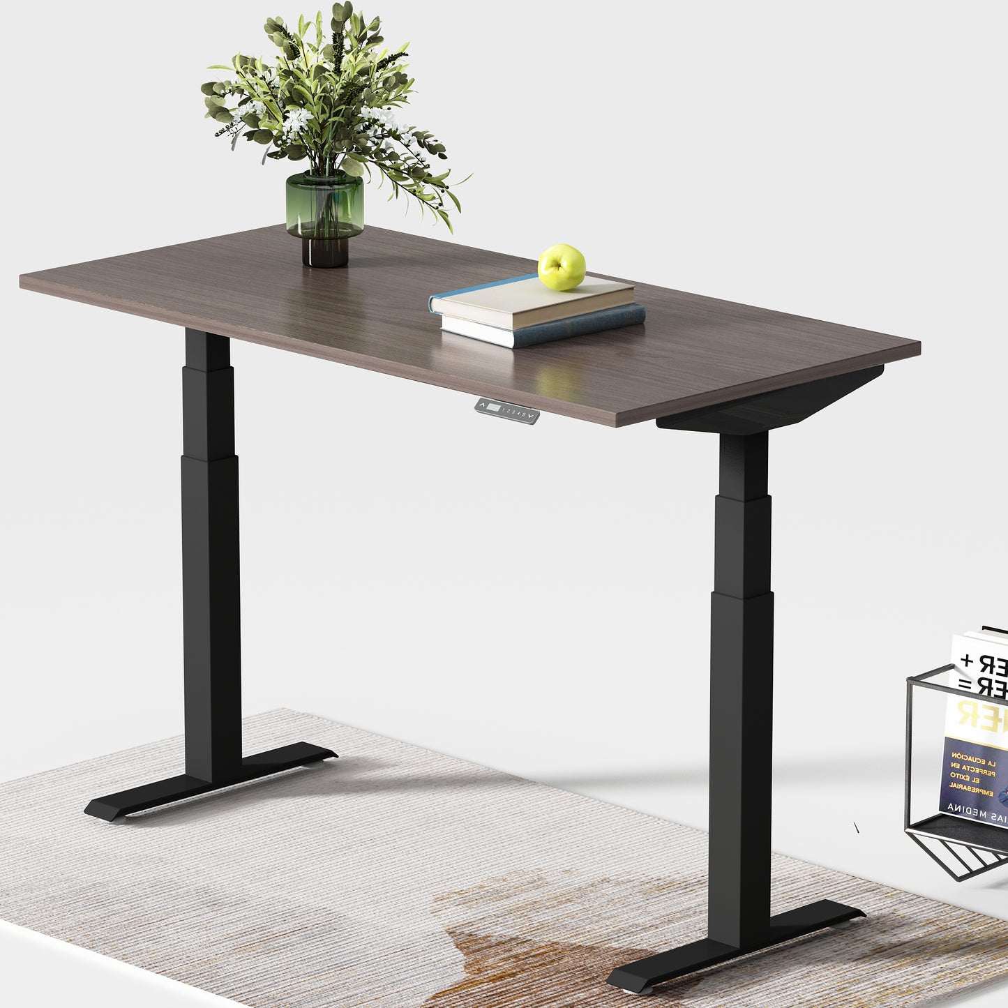 Dual Motor Standing Desk | Electric Standing Desk - ALFA DUO RANGE Desk 3 Stage 60 x 30"