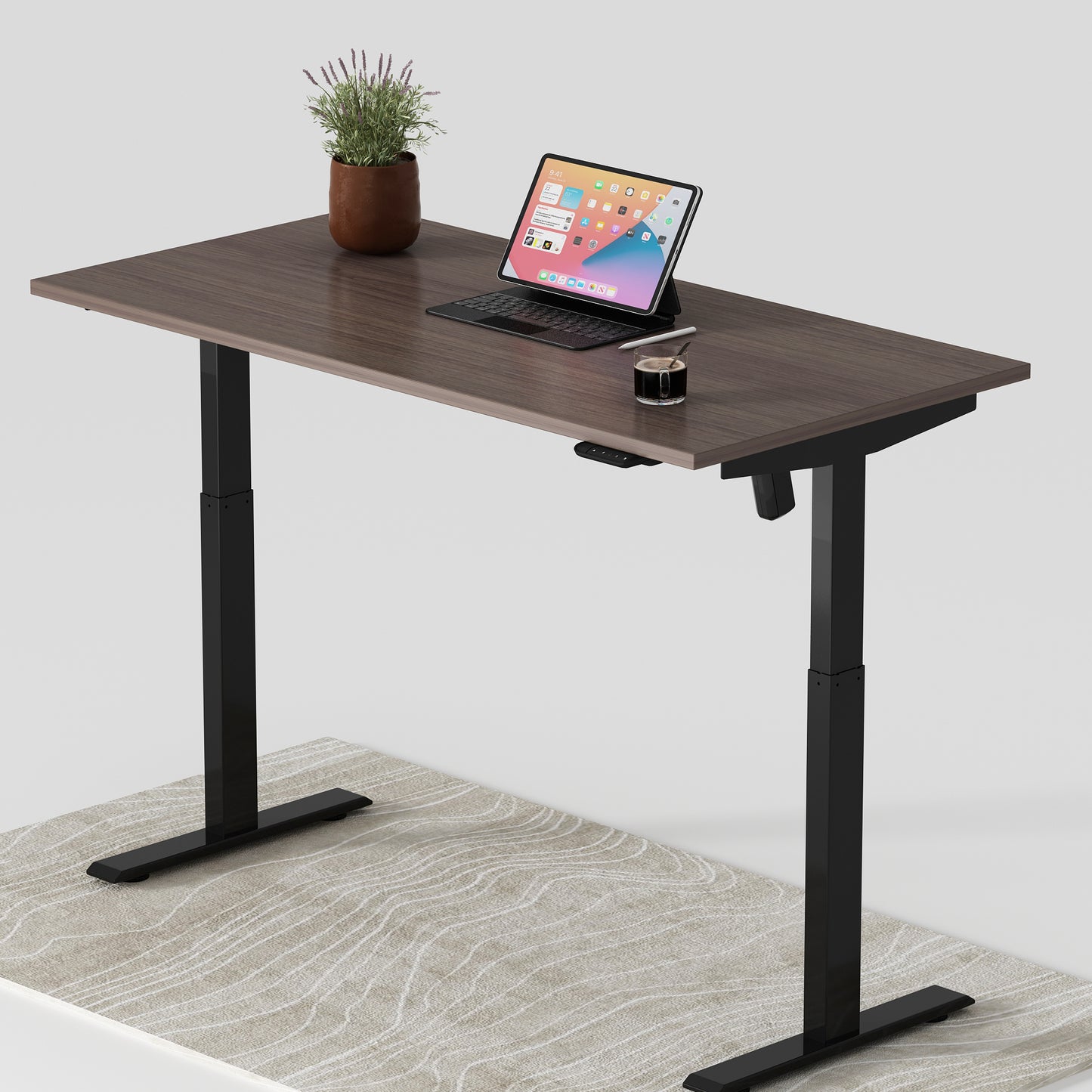 Single Motor Standing Desk | ALFA SOLE Desk - Standing Desk Single Motor 55 x 28"