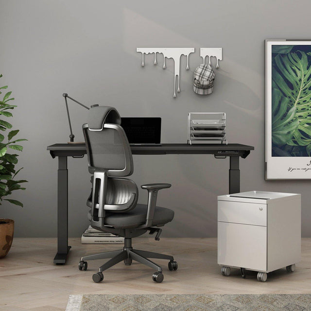 Home Office Collection - Alfa Furnishing