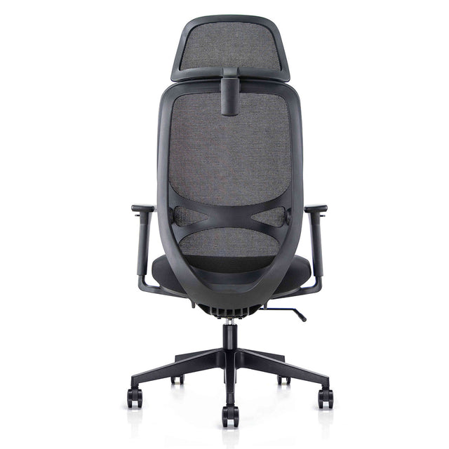 Anakin  Ergonomic Task Chair