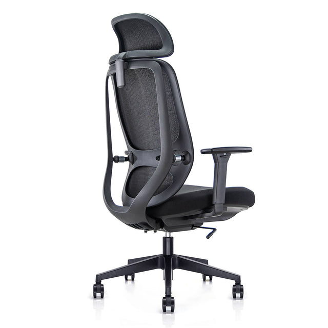 Anakin  Ergonomic Task Chair