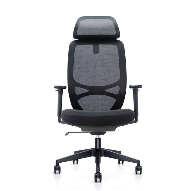 ALFA Chair Anakin  Ergonomic Task Chair Mesh Office Chair Ergonomic Chair for Back Pain with Height Adjustable Armrests, Black