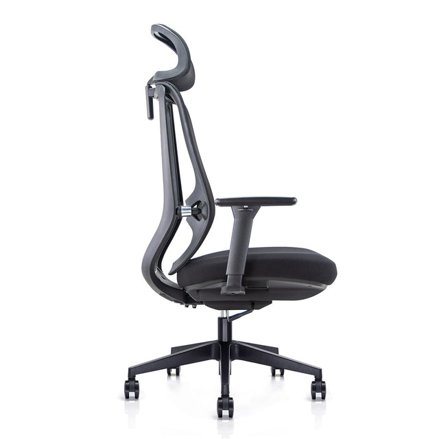 Anakin  Ergonomic Task Chair