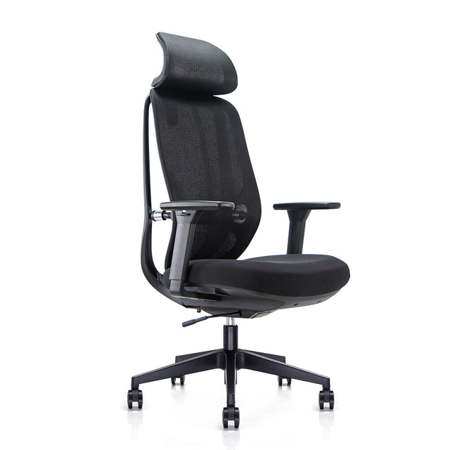 ALFA Chair Anakin  Ergonomic Task Chair Mesh Office Chair Ergonomic Chair for Back Pain with Height Adjustable Armrests, Black