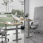 Bulk order  Dual Motor Standing Desk -2 Stage-6030