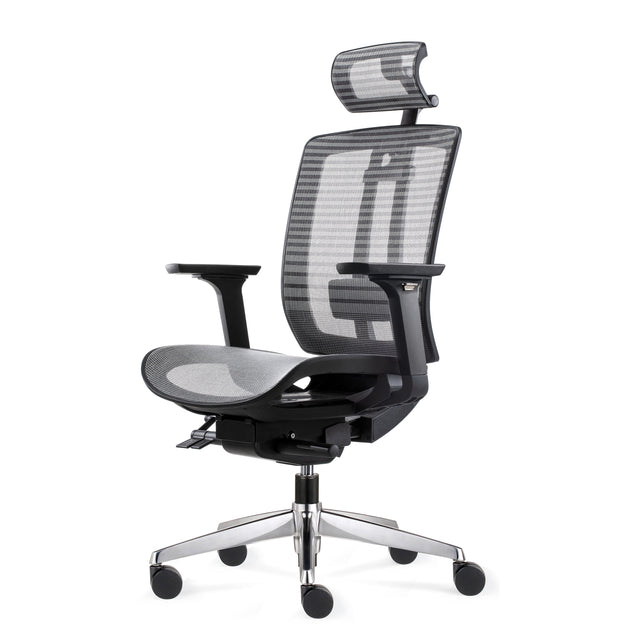 ALFA Revolving Chair Arri Office Chair Ergonomic Office Chair Mesh Back with Height-adjustable Lumbar Support