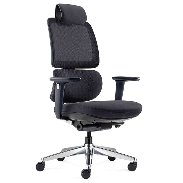 ALFA Orbert Ergonomic Chair Office Chair for Back Pain 24 Hours Chair Black Office Chair with Height-adjustable Backrest