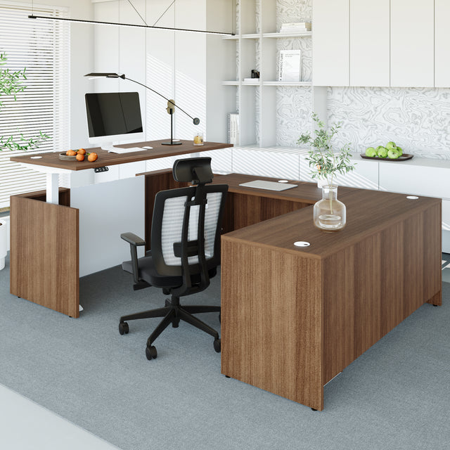 🪑 + 🖥️Ergonomic Office Chair & Executive Standing Desk Bundle – Complete Workspace Solution