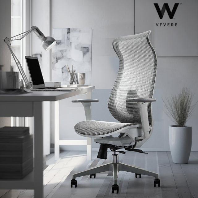 ALFA Koto Adjustable Ergonomic Mesh Office Chair Flexible Lumbar Support, 3D Armrest