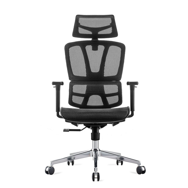 Carwyn Ergonomic Task Chair