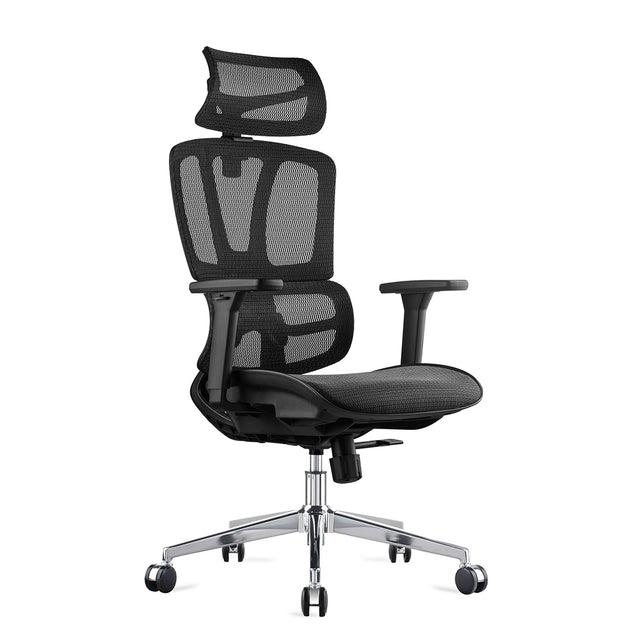 Carwyn Ergonomic Task Chair