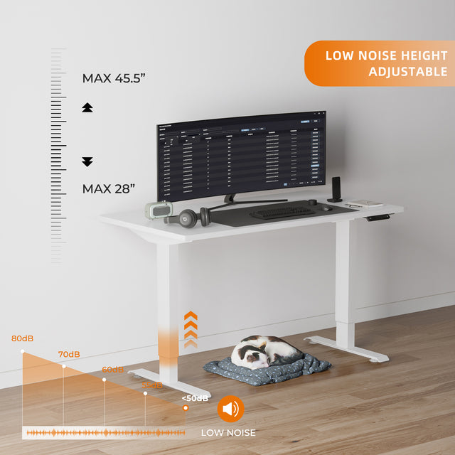 ALFA Furnishing Essential Dual Motor Electric Standing Desk Adjustable Computer Desk 60" x 30"