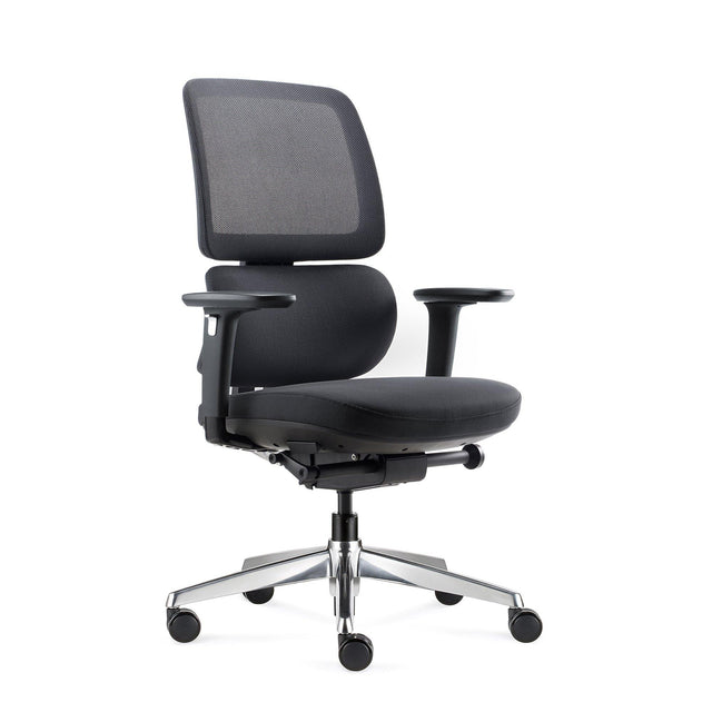 ALFA Orbert Ergonomic Chair Office Chair for Back Pain 24 Hours Chair Black Office Chair with Height-adjustable Backrest