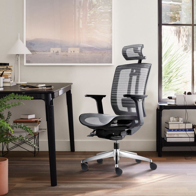 ALFA Revolving Chair Arri Office Chair Ergonomic Office Chair Mesh Back with Height-adjustable Lumbar Support