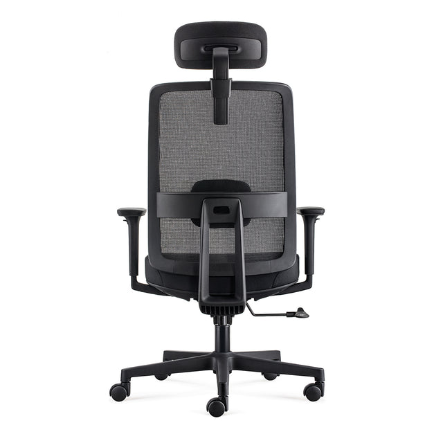 AF ALFA Chair Llew Ergonomic Computer Chair Multiple Functional Task Chair Comfortable Office Chair with Height Adjustable Armrests, Black