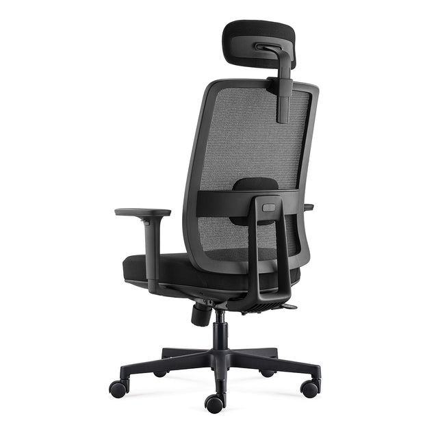 AF ALFA Chair Llew Ergonomic Computer Chair Multiple Functional Task Chair Comfortable Office Chair with Height Adjustable Armrests, Black