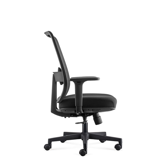 AF ALFA Chair Llew Ergonomic Computer Chair Multiple Functional Task Chair Comfortable Office Chair with Height Adjustable Armrests, Black