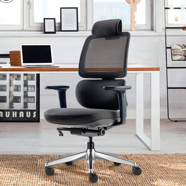 ALFA Orbert Ergonomic Chair Office Chair for Back Pain 24 Hours Chair Black Office Chair with Height-adjustable Backrest