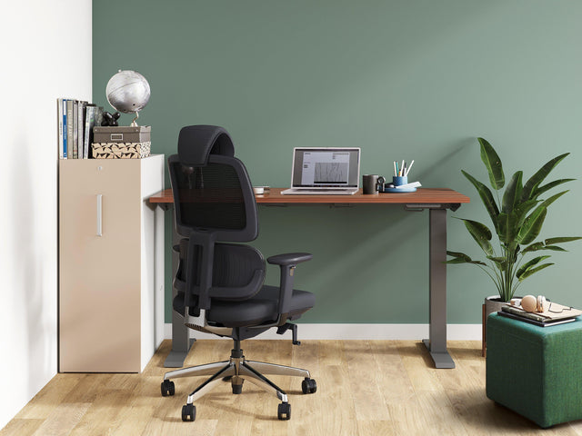 ALFA Ergonomic Task Chair - ALFA - Alfa Furnishing - chair, Designer Product, Ergo Chair, Ergonomic Chair, Furniture, home office, small office, Task Chair