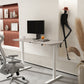 ALFA-STF6030.Grey Standing Desk