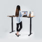 Bulk order  Dual Motor Standing Desk -2 Stage-6030