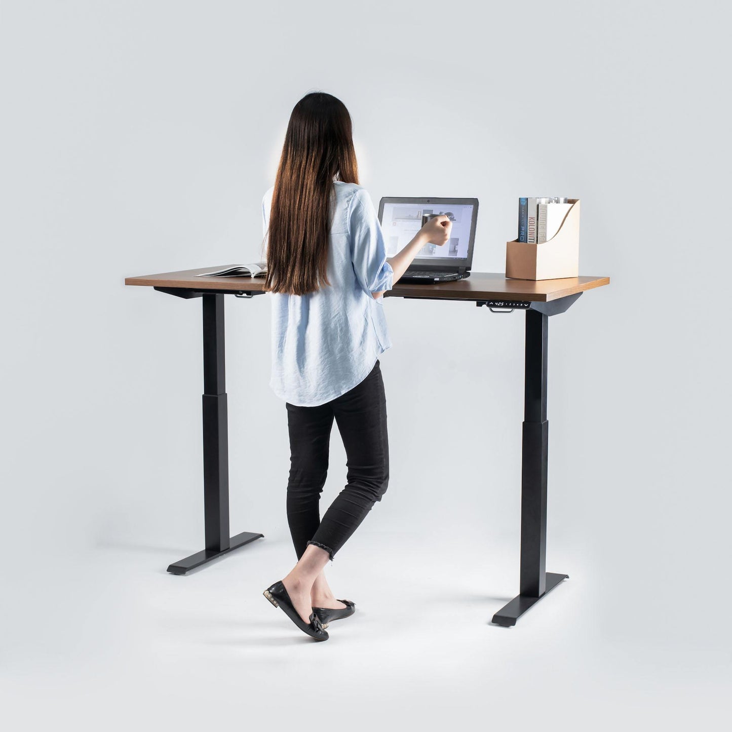 Bulk order  Dual Motor Standing Desk -2 Stage-6030