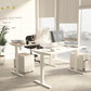 Single Motor Standing Desk | ALFA SOLE Desk - Standing Desk Single Motor 48 x 30"