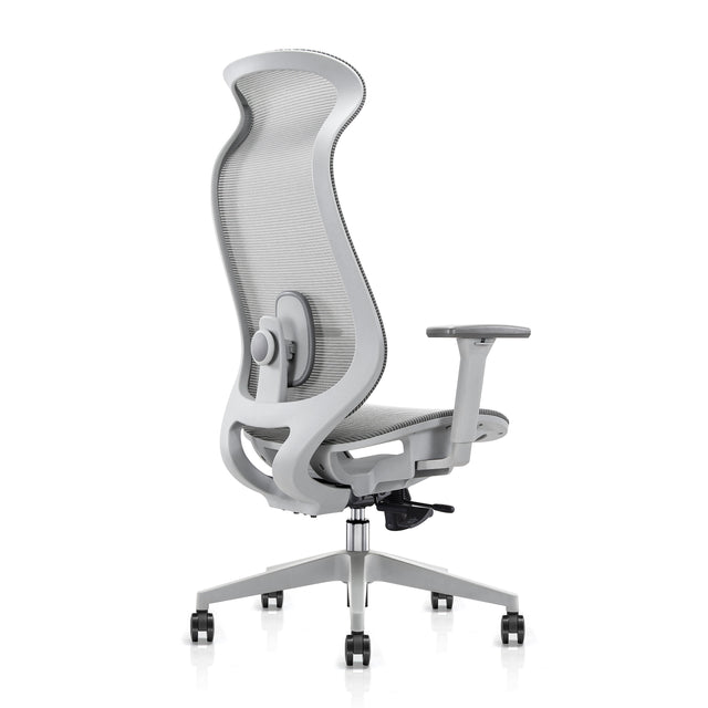 Koto Ergonomic Office Chair with Adjustable Lumbar Support