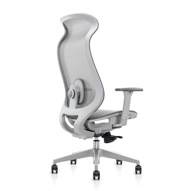 ALFA Koto Adjustable Ergonomic Mesh Office Chair Flexible Lumbar Support, 3D Armrest