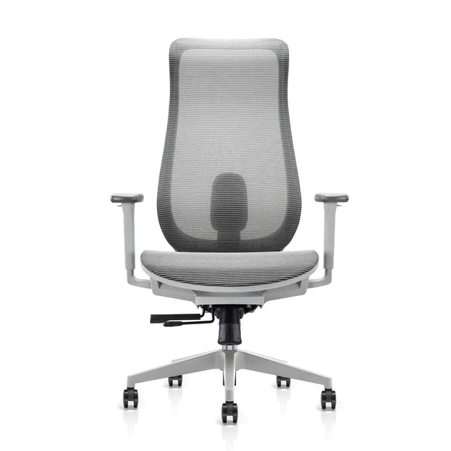 ALFA Koto Adjustable Ergonomic Mesh Office Chair Flexible Lumbar Support, 3D Armrest