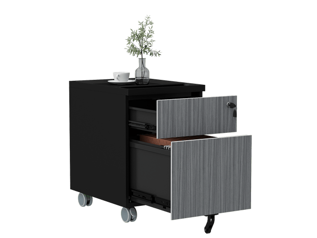 AF ALFA Filing Cabinet |  CUBOX 2-Drawer Gray Black Mobile Vertical File Cabinet with Lock15"