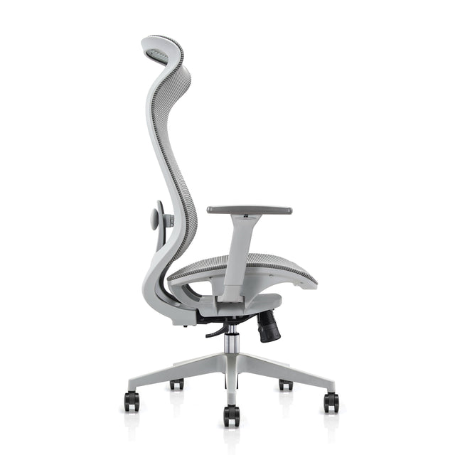 ALFA Koto Adjustable Ergonomic Mesh Office Chair Flexible Lumbar Support, 3D Armrest